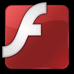 Image result for Flash Player Pro