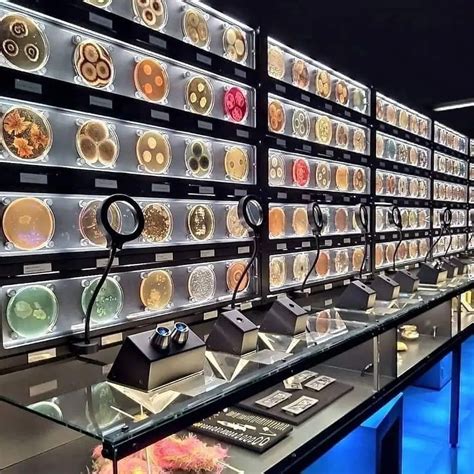 Biotechnology Aesthetic Pictures 的图像结果