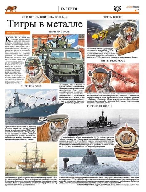 Image result for Feature Article PSD File