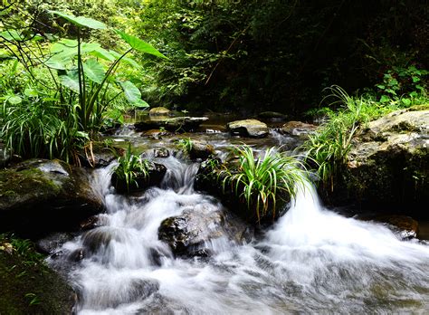 【小溪流(2)摄影图片】溪边生态摄影_山水间_太平洋电脑网摄影部落