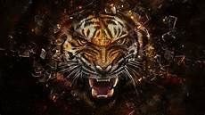 Awesome Picture by Awesome Wallpapers High Resolution Pixelstalk Net Awesome Picture