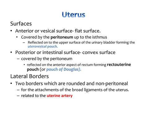 Female Internal Genital organs 2018 (1).pdf