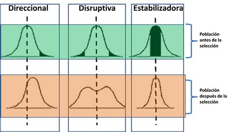 Image result for Java Binary