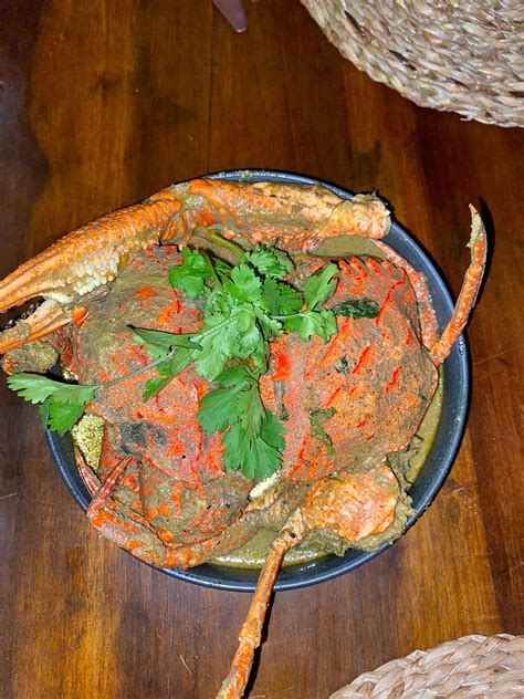 NEEVANA HOTEL HIKKADUWA - Hotel Reviews, Photos, Rate Comparison ...