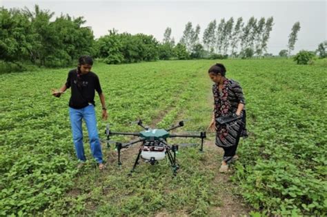 Rimpi Singh Success Story: सरकारी नौकरी छोड़कर महिला बनी किसान, कामयाबी ...