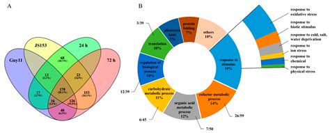 Quantitative Proteomic Analysis Provides Insights into Rice Defense ...