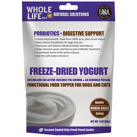 Yogurt Antibiotics Dog at Erin Wright blog