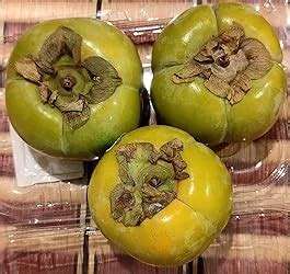 Fresh Amarphal (Persimmon), 500 g : Amazon.in: Grocery & Gourmet Foods