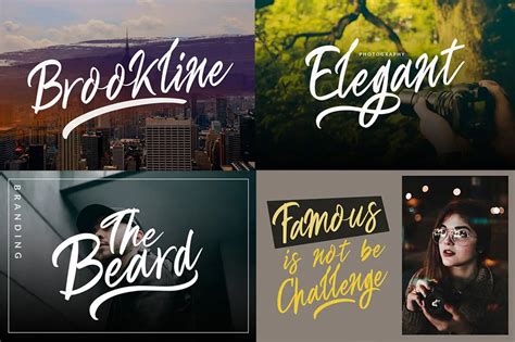 Image result for Beautiful Script Fonts