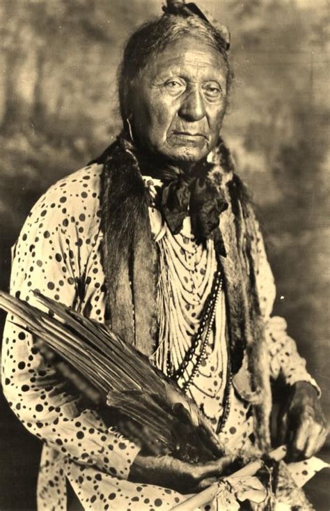 Uncover the Roots: Unveiling the Native Tribe of Northern California’s Heart