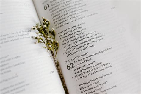 15 Encouraging Bible Verses for Family Problems - MomLife Today