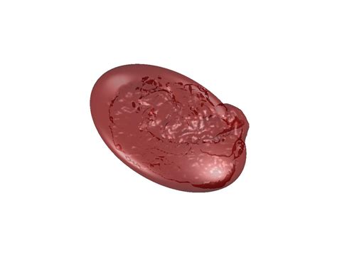 Image result for Segmentation Animation