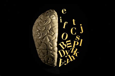 Image result for Example of Aphasia Speech