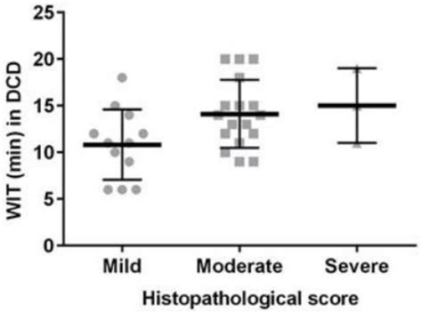 Comparative Analysis of Risk Factors in Declined Kidneys from Donation ...
