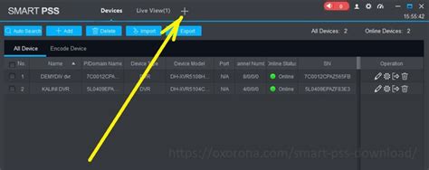 SmartPSS Tutorial 的图像结果