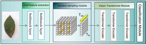 Study on the Tea Pest Classification Model Using a Convolutional and ...