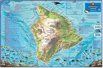 Hawaii "The Big Island" Dive & Snorkeling Map Laminated Poster : Franko ...