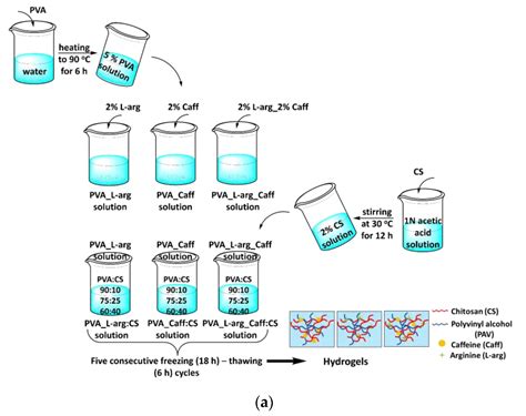 Biomaterials Based on Chitosan and Polyvinyl Alcohol as a Drug Delivery ...