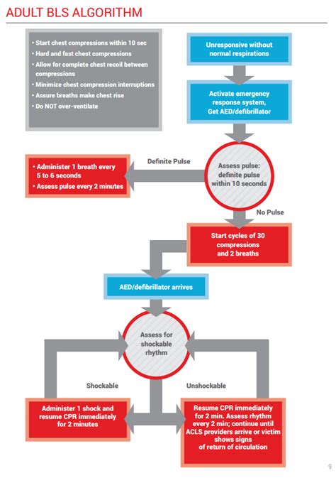 BLS Steps 的图像结果