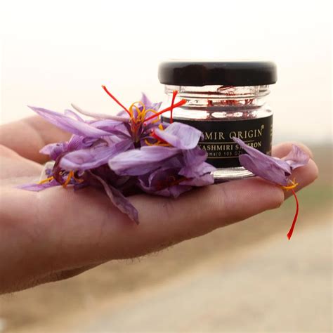 3 Gram Pure Kashmiri Saffron | शुद्ध केसर – Kashmir origin
