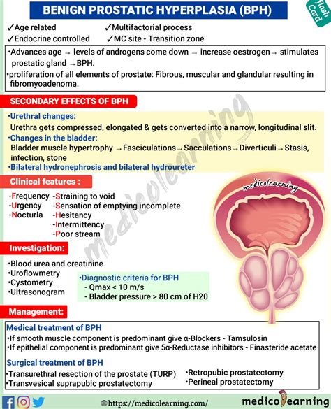 Benign Prostatic Hyperplasia (BPH) – MedicoLearning