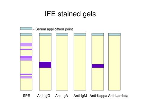 Neutralization Test 的图像结果