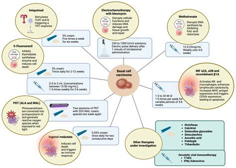 Topical and Intralesional Immunotherapy for the Management of Basal ...