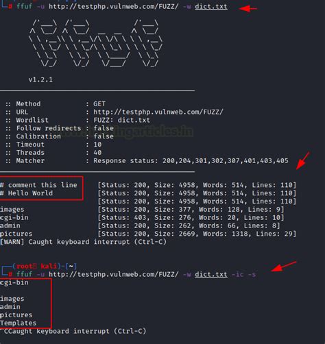 Comprehensive Guide on ffuf - Hacking Articles