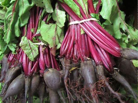 Local Produce Vegies 的图像结果