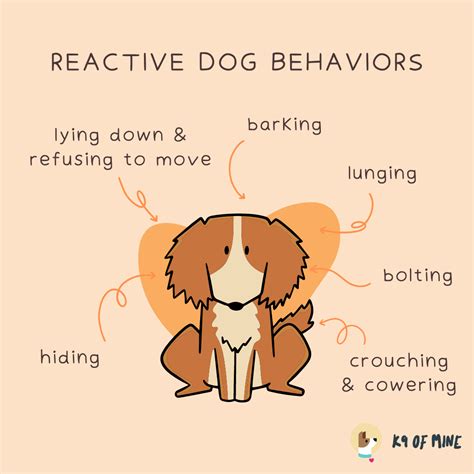 Image result for Reactive Behavior