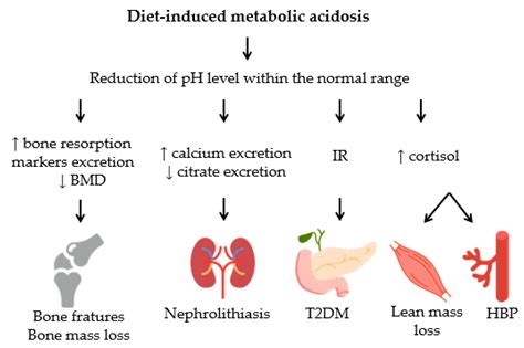 Diet-Induced Low-Grade Metabolic Acidosis and Clinical Outcomes: A Review