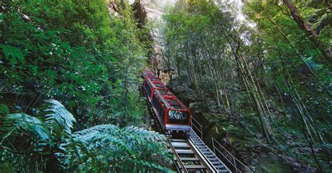 Ultimate Blue Mountain Day Tour - Klook India