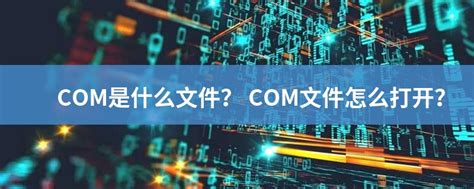 Com File 的图像结果