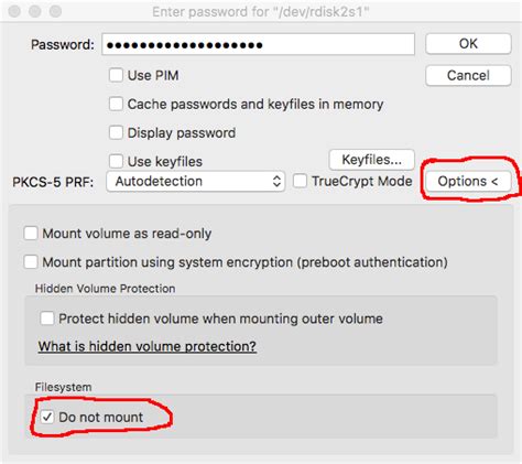 No Mountable File System Mac 的图像结果