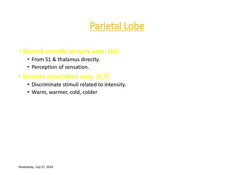 Kluver-Bucy Syndrome.ppt affecting cerebral cortex | PPT