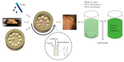 The Effect of Mechanocatalytic Pretreatment on the Structure and ...