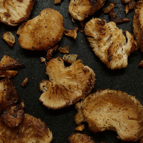 Tender Lion's Mane Mushroom Steak - Foraged