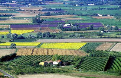 Image result for Farming Patterns Java