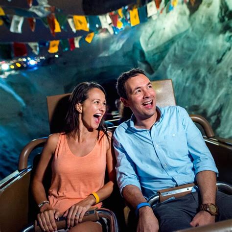 Animal Kingdom's Expedition Everest Ride: Everything to Know • The Park Pixie