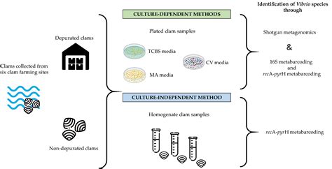 Independent set Problems 的图像结果