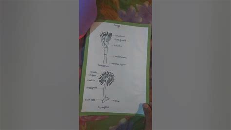 Image result for Microbotics Projects