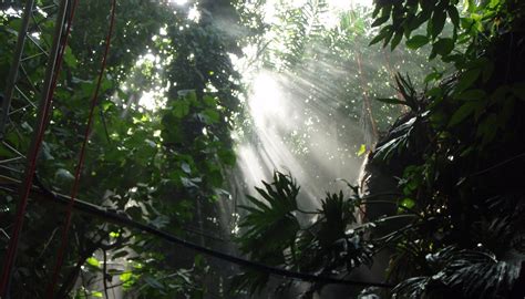 BIOSPHERE 2 (2025) All You Need to Know BEFORE You Go (with Photos ...