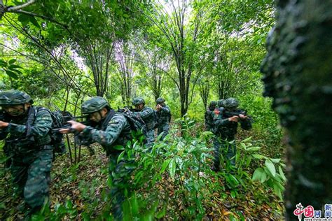 武警桂林支队开展野外驻训活动 - 中国日报网