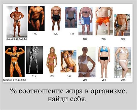 Процент жира в организме женщины и мужчины, фото примеры
