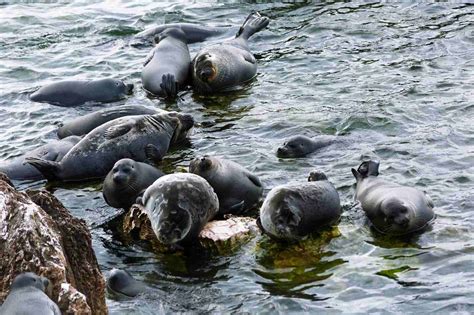 Top 12 Things to Do in Irkutsk