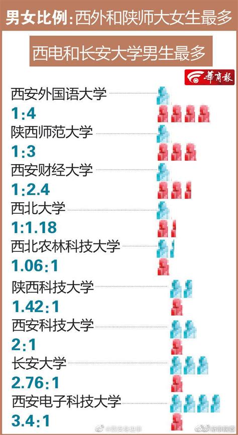 陕西高校本科新生大数据：西安外国语大学男女比例1：4|陕西|西安外国语大学|本科新生_新浪新闻