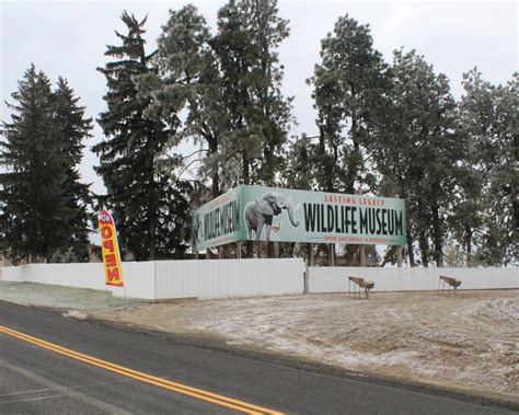 THE 10 BEST Places to Visit in Ritzville (2025) - Must-See Attractions