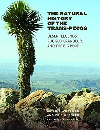 The Natural History of the Trans-Pecos: Desert Legends, Rugged Grandeur ...