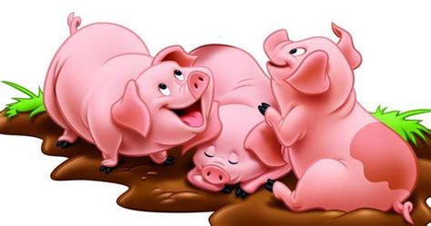 属猪的是什么性格 属猪的幸运数字是多少 - 致富热