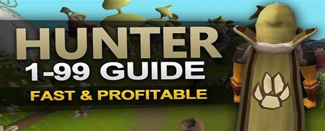 OSRS 1-99 Hunter Guide - Best OSRS Guides